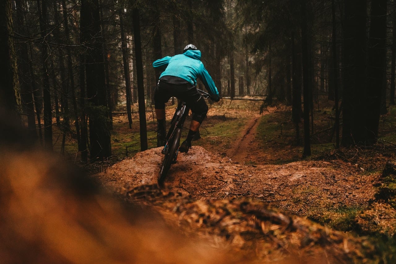 Alpine Mountain Bike Descent