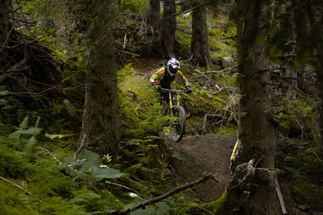 Alpine Mountain Bike Descent