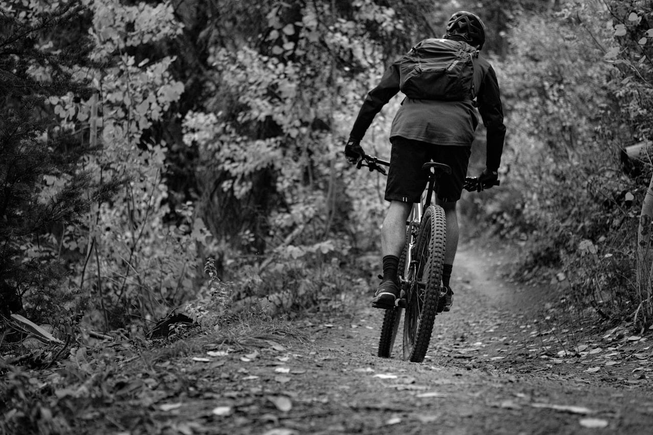 Alpine Mountain Bike Descent